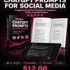 ChatGPT Prompts for Social Media - Product Details with Categories and Example Prompts