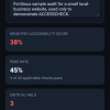 ACCESSCHECK — Accessibility Audit Report Builder