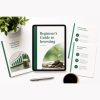 Beginner's Guide to Investing