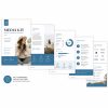 Media Kit / Press Kit Template