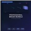 professional-brush-bundle-for-photoshop-and-proc-cover Professional Brush Bundle for Photoshop & Procreate