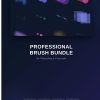 professional-brush-bundle-for-photoshop-and-proc-cover-detail Professional Brush Bundle for Photoshop & Procreate
